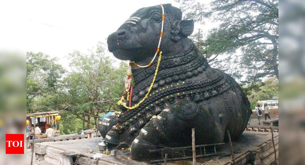 Nandi Bull atop Chamundi Hills to be illuminated | Mysuru News - Times ...