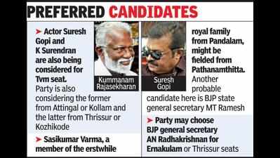 Lok Sabha election: BJP prepares probable list of candidates