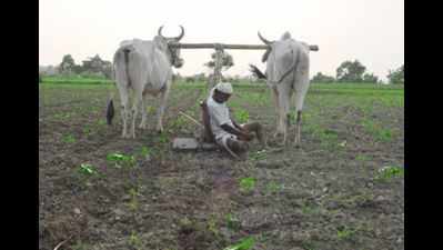 Maharashtra govt releases Rs 1454 crore towards drought relief measures