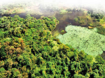 500 hectares of forest land in Pune division encroached upon