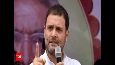 Rahul Gandhi may meet Congress workers this month