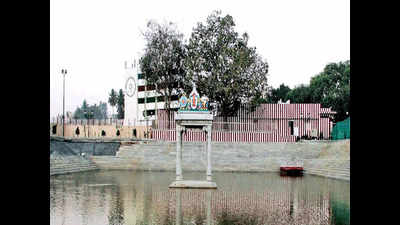 Vasanthapura temple tank celebrates its first Brahmotsavam
