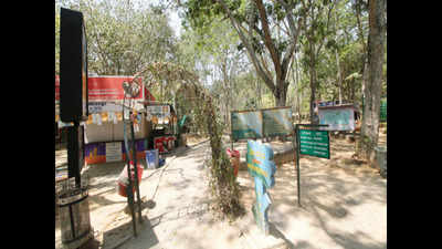 Bannerghatta Biological Park visitors fume as ticket counters, online system shut