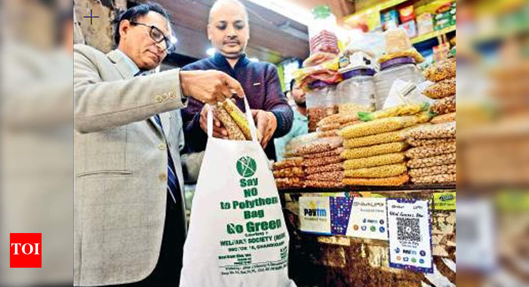 Cloth bags to carry home the message Chandigarh News Times of India