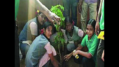 Tree plantation drive at home for people with learning difficulties