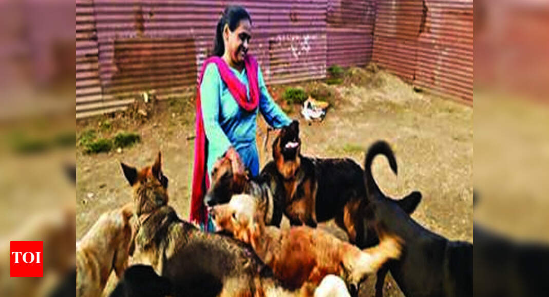 Photo contest to stop cruelty to dogs | Ranchi News - Times of India