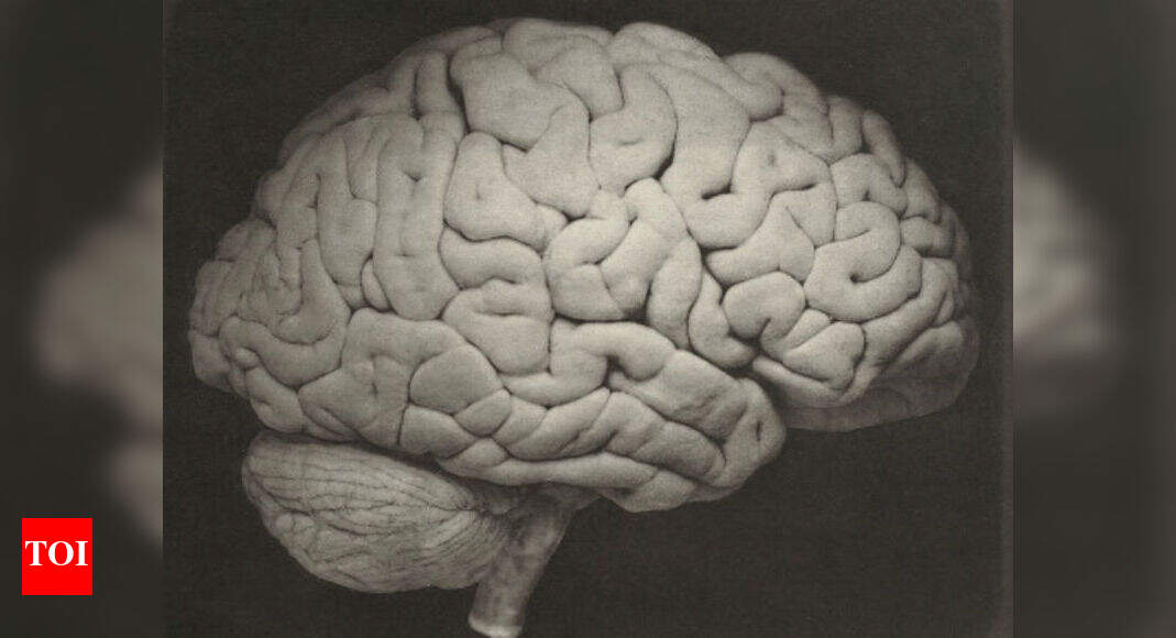 Lack of cleaning in brain cells causes Alzheimer's: Study - Times of India