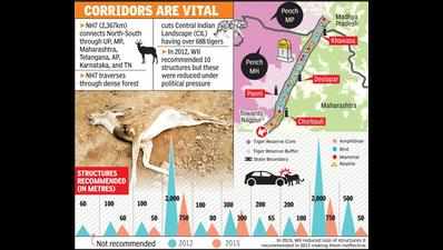 NH-7 mitigation steps ineffective as wild animals continue to suffer