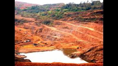 Mining solution has to come from Goa, CM tells mantris