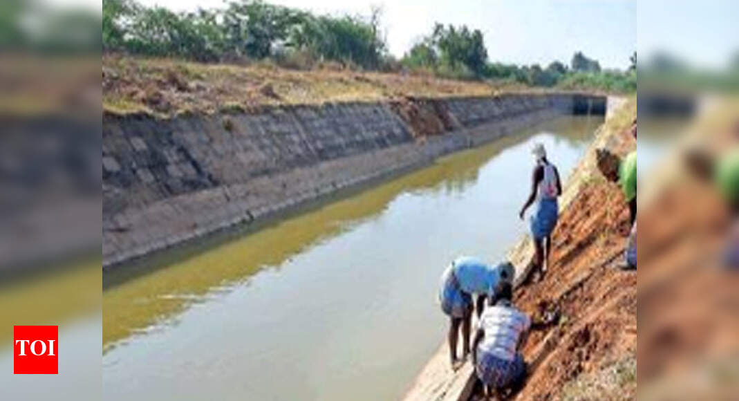 Left uncared for, Chennai’s lifeline is in critical state | Chennai