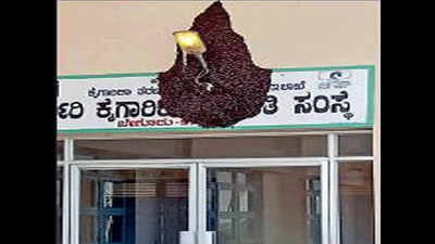 Wild bees shut down training school in Chamarajanagar