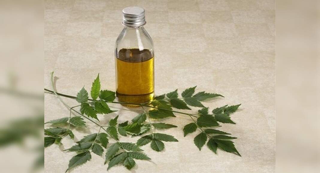 Best Home Remedies For Smelly Scalp And Hair