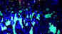 When Lucknowites flashed neon colour
