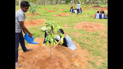 Soon, 25 parks in Hyderabad on Haritha Haram theme | Hyderabad News ...
