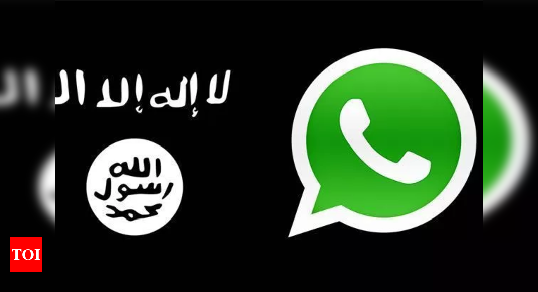 WhatsApp Profile Picture: Unveiling the Identity Behind the Image – Wharftt