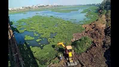 Water hyacinth makes it tough for Surat civic body