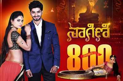 Naagini serial completes 800 episodes