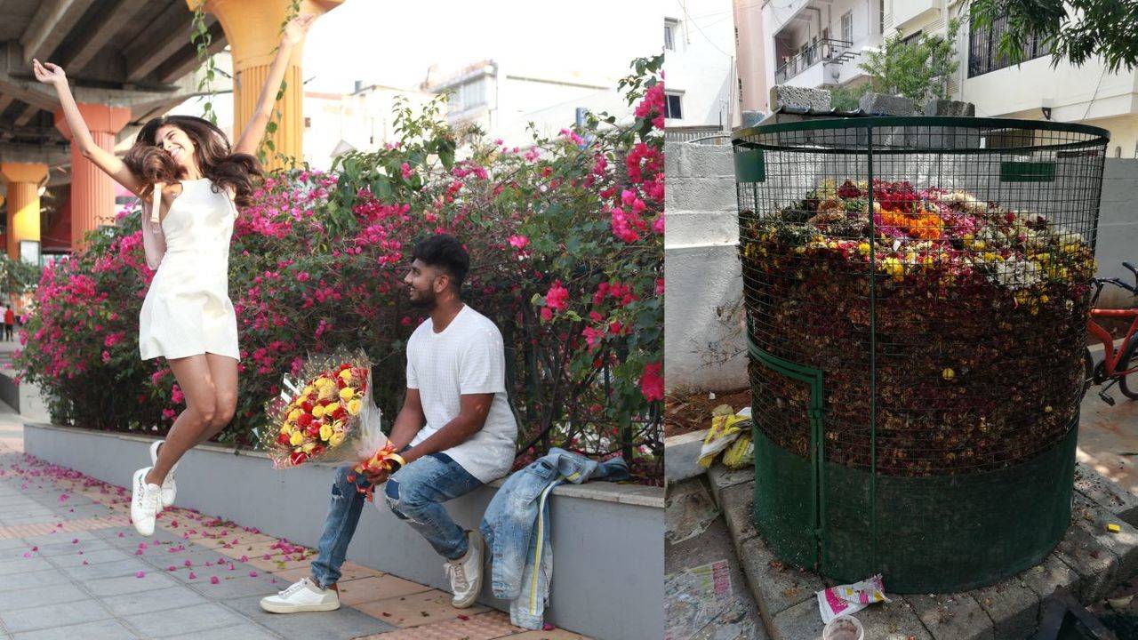 Roses are red and contributing to climate change, florists warn, Climate  Crisis News