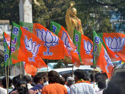 Ahead of polls, BJP adds to its strength with more allies
