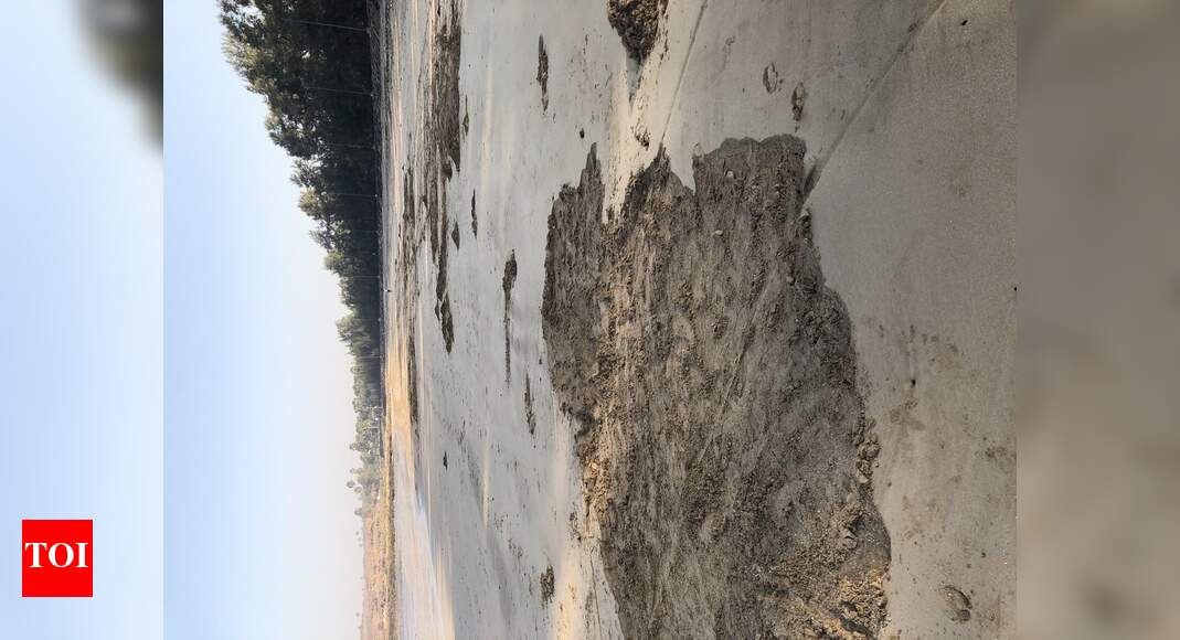 Sand theft on Manori beach - The Times of India
