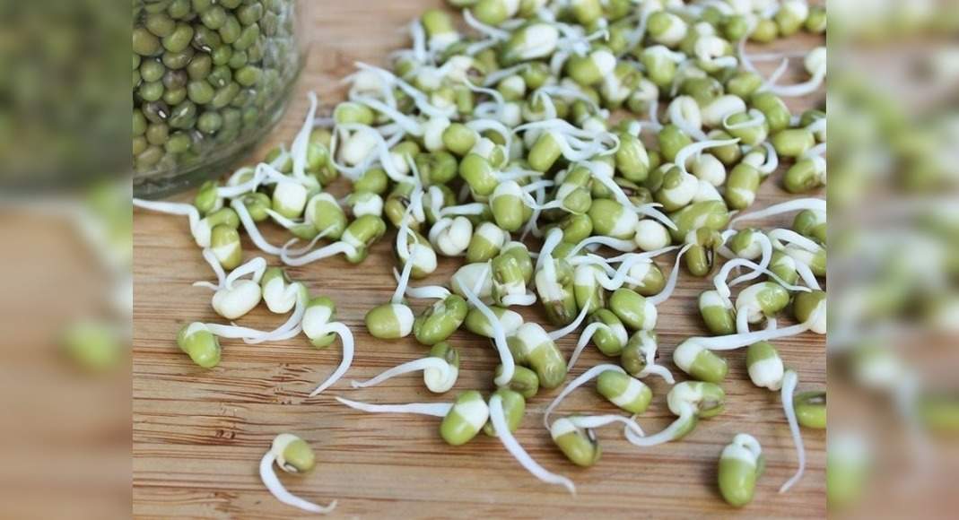 Health Benefits Of Sprouts Reasons To Add Sprouts To Your Diet