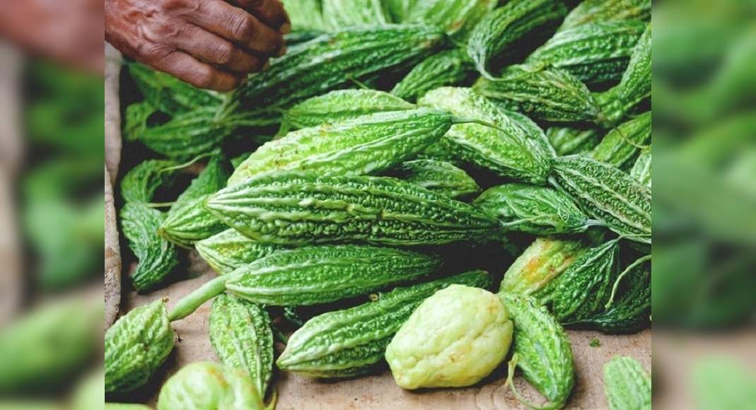 health-benefits-of-bitter-gourd