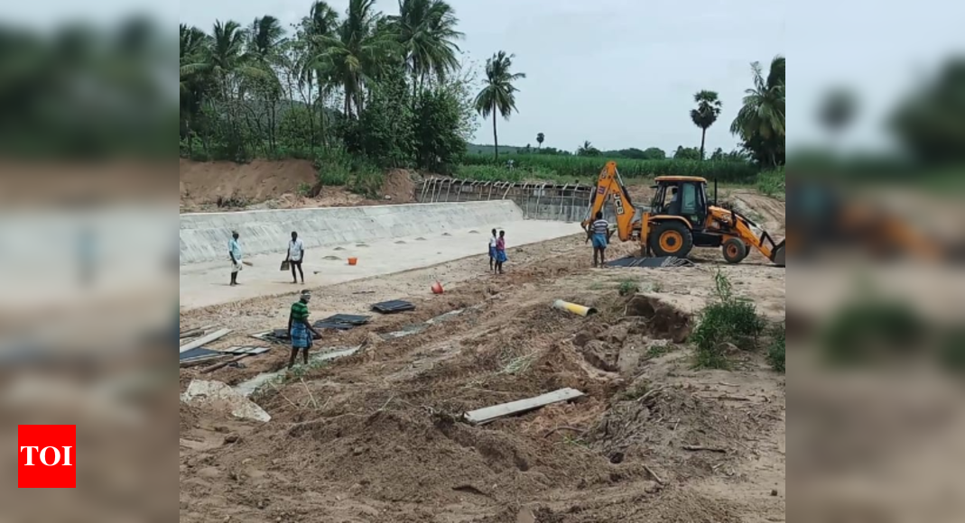 Why don’t you construct check dams to preserve water, Madras high court ...