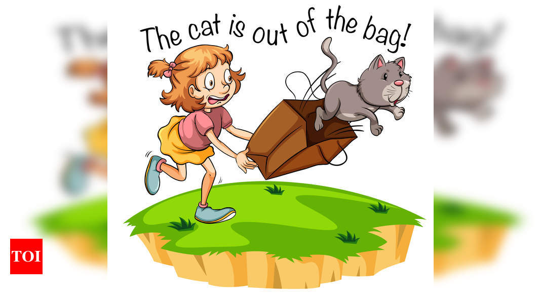 Cat Idioms with meaning and sentence