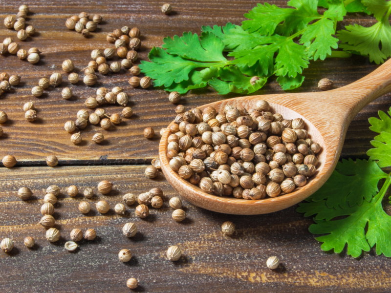 Coriander seed and it's health benefits