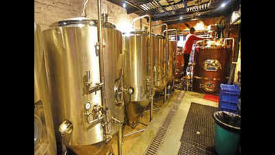 Reason to cheer for Delhiites as national capital gets own microbreweries