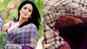 Boney Kapoor to auction Sridevi’s handwoven Kota sari