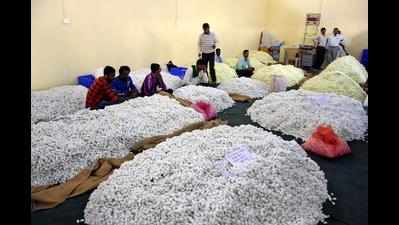 Silk Board chief asks more farmers to take to sericulture
