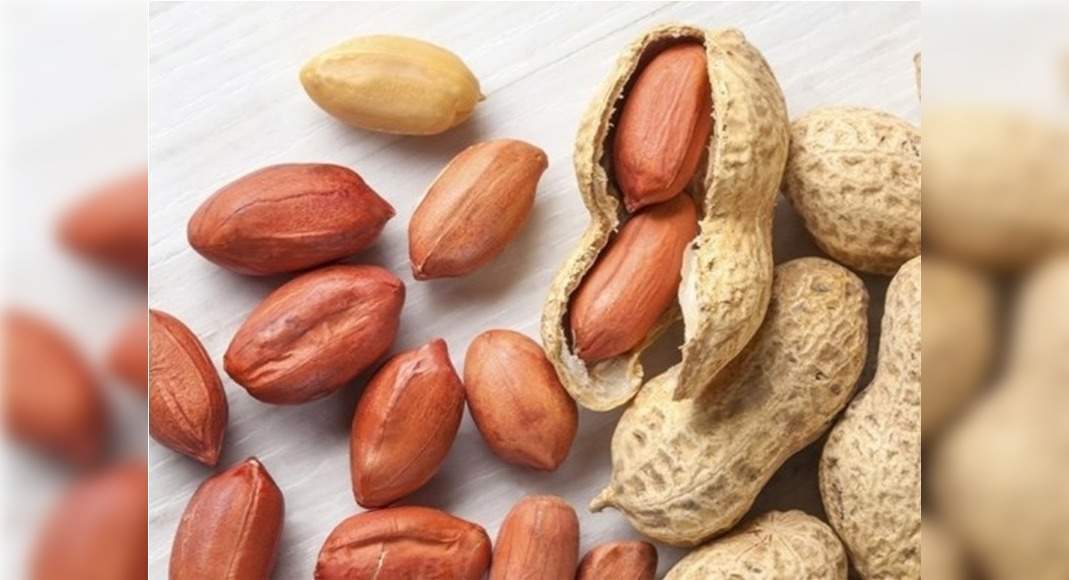 eating-small-amounts-of-peanut-after-allergy-treatment-may-extend-its