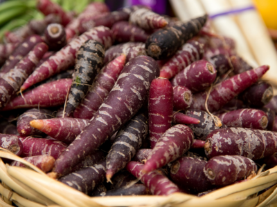 What are Purple Carrots? Benefits and Uses