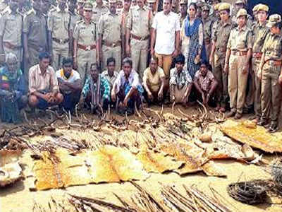 Animal poaching: Forest department busts racket in Kothagudem