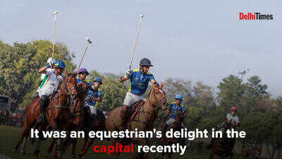 Delhi Polo enthusiasts enjoy a thrilling match