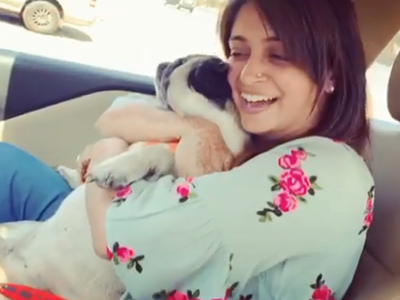 Watch: Bigg Boss 12's Dipika Kakar playing with her little dog Cuddle is adorable