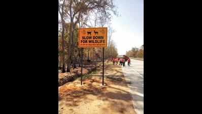 Boards warning motorists of wildlife crossing put up on NH7
