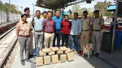 24.5kg ganja found in abandoned trolley bags at railway stn