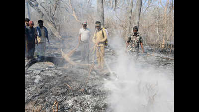 Fire alerts: Karnataka may be most prone to forest blazes
