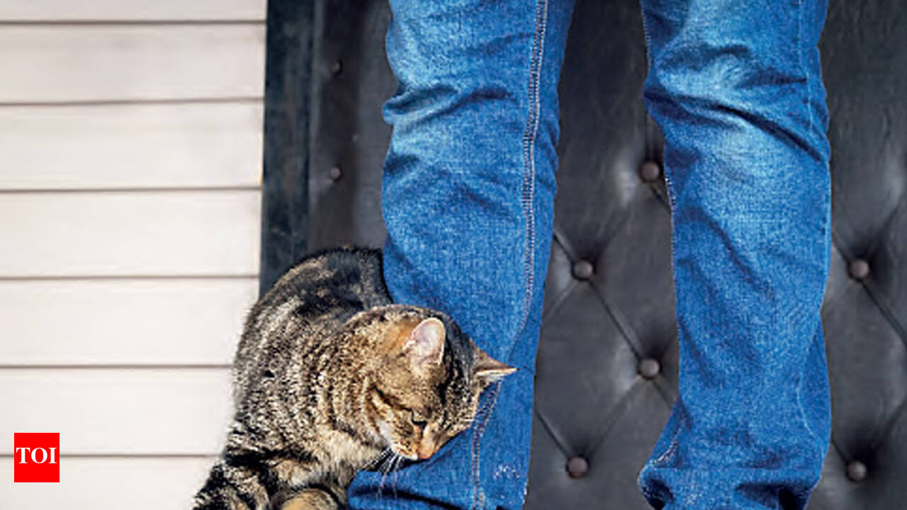 KA ZELINA JEANS KA ZELINA JEANS