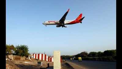 SpiceJet to introduce Chennai-Bhopal flight