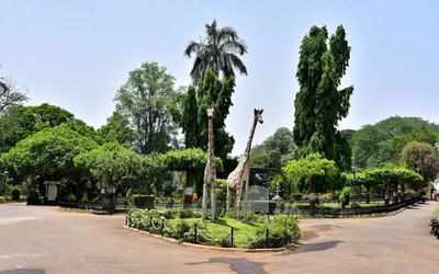 MTDC plans to redevelop Ambazari garden at Rs 100 crore