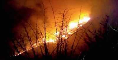 Forest fires singed 36,000 acres in 5 years in Karnataka