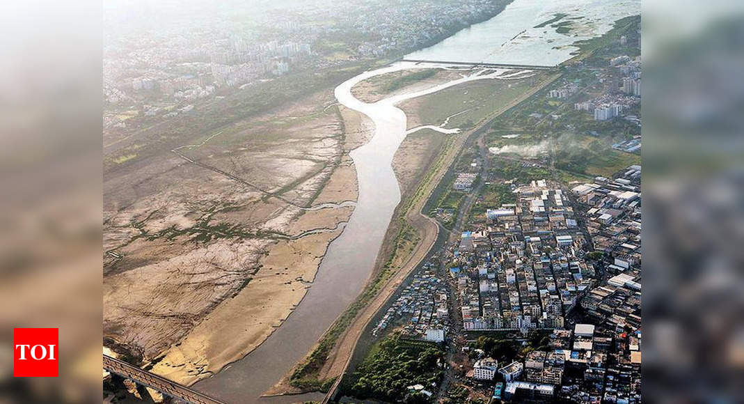 ngt-orders-5-member-committee-for-tapi-river-restoration-surat-news