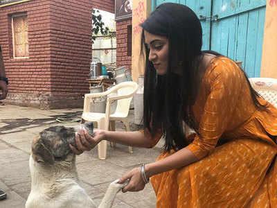 Srishti Jain: Animals are more loving and giving - Times of India