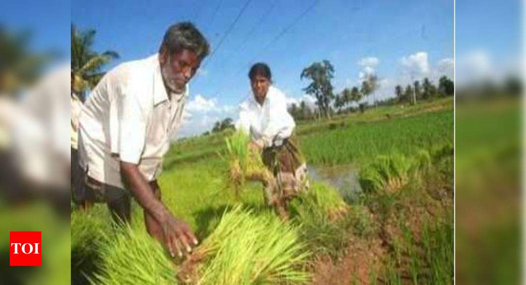 70 Lakh Farmers Miss Out On PM-Kisan Benefit As West Bengal, Delhi Yet ...