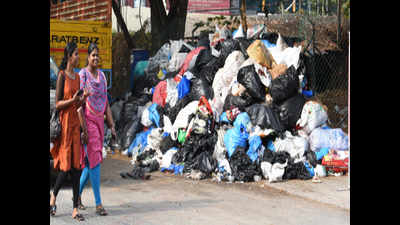 Lessons learned: Civic body begins segregation of waste