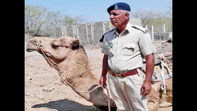 Gujarat cop dies of heart attack, his depressed camel gives up food