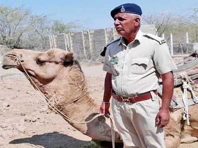 Gujarat cop dies of heart attack, his depressed camel gives up food